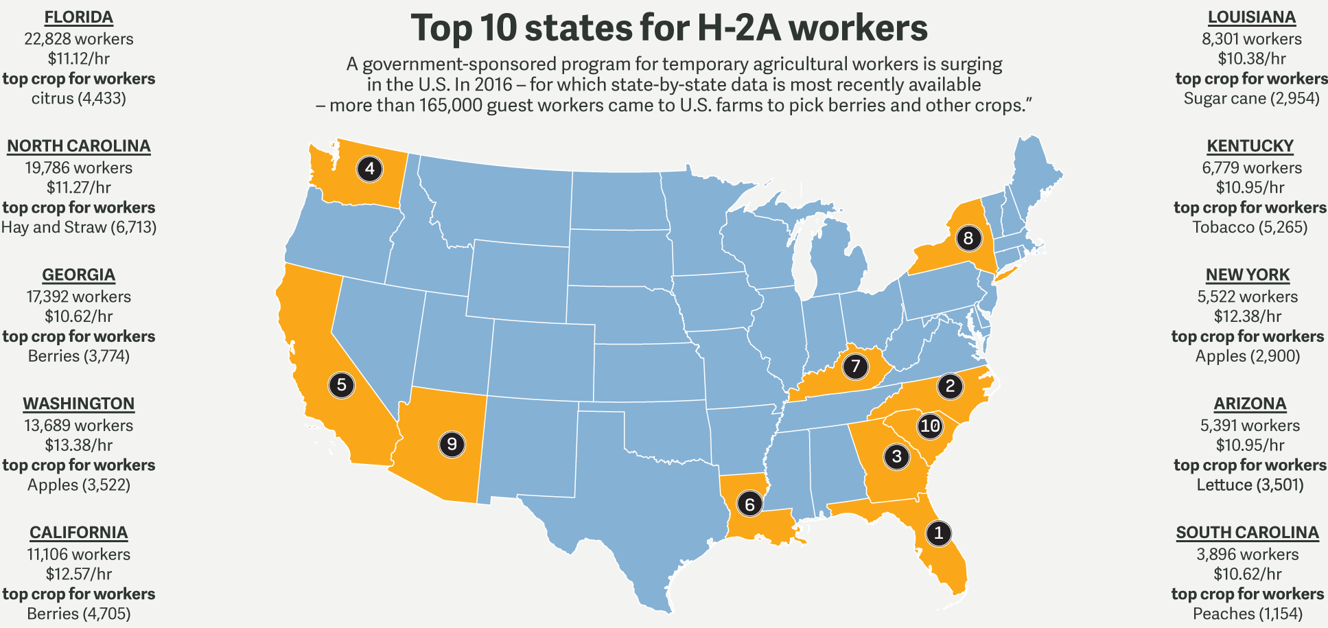 Migrant Workers Map